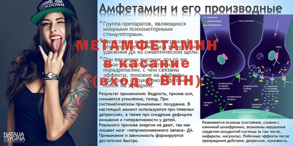 сатива Бородино