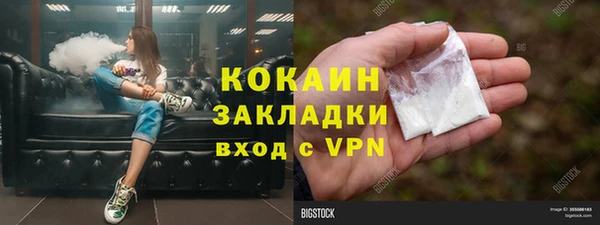 сатива Бородино