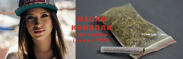 сатива Бородино