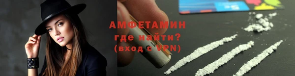 сатива Бородино