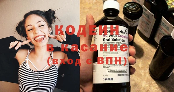 сатива Бородино