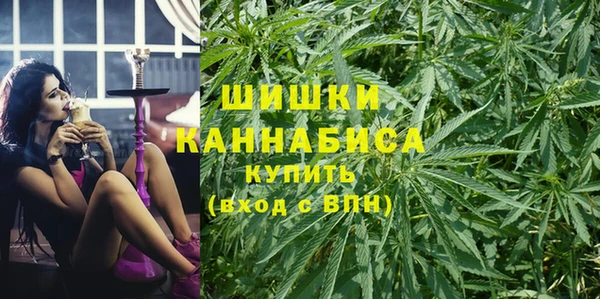 сатива Бородино