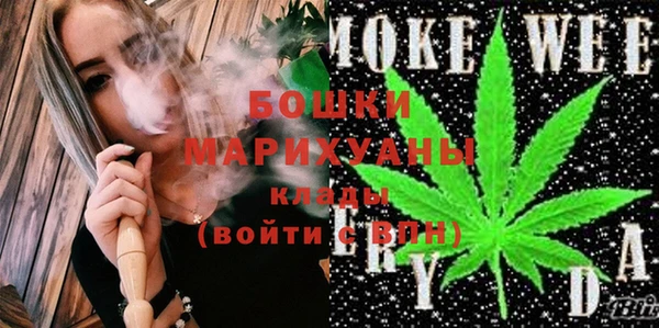 сатива Бородино