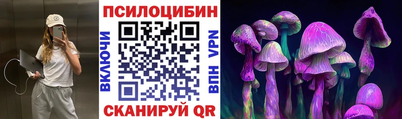 kraken ССЫЛКА  Магнитогорск  Псилоцибиновые грибы Magic Shrooms  как найти закладки 